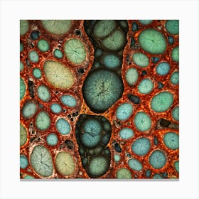 Symbiosis 2 Canvas Print