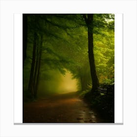 Misty Path Canvas Print