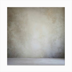 Empty Room With Concrete Wall 7 Canvas Print