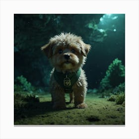 Small Dog In Cave Canvas Print