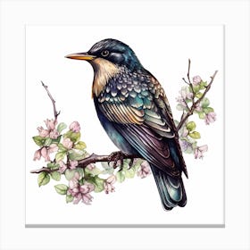 Kingfisher Bird Canvas Print