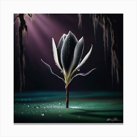 Lily Of The Valley Canvas Print