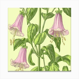 Fuchsia Art Canvas Print