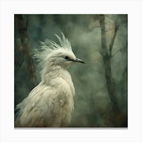 Night Dove Canvas Print