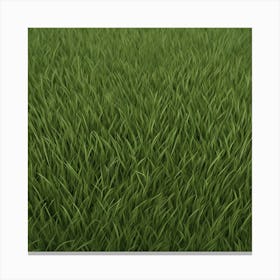 Green Grass 46 Canvas Print