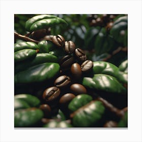 Coffee Beans On A Tree 80 Canvas Print