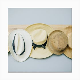 Summer Hats Canvas Print