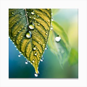 Leaf With Water Droplets Canvas Print
