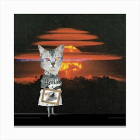 Catomania, The Seven Lives Of A Cat, Number Seven Square Canvas Print