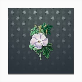 Vintage Wray's Hibiscus Flower Botanical on Slate Gray Pattern n.2569 Canvas Print