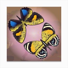 A Couple Of Mechanical Callicore Aegina Butterflies On A Pink Background Canvas Print