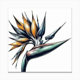 Bird of paradise flower 5 Canvas Print