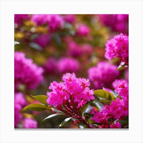 Rhododendron Canvas Print