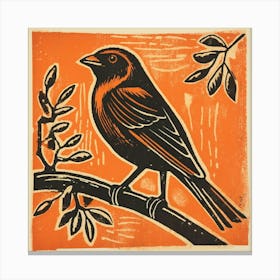 Retro Bird Lithograph Finch 4 Canvas Print