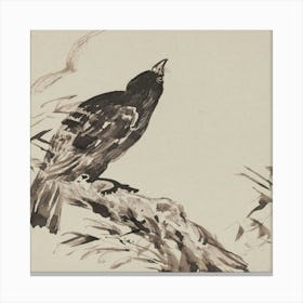 Crow On A Branch Canvas Print