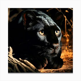 Wild Animal Creative Portrait 184 Canvas Print