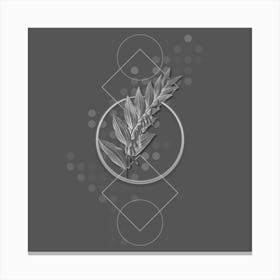 Vintage Angular Solomon's Seal Botanical with Line Motif and Dot Pattern in Ghost Gray n.0304 Canvas Print
