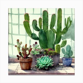 Cacti And Succulents 22 Canvas Print