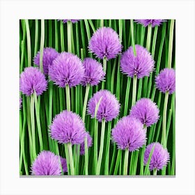 Chives Canvas Print