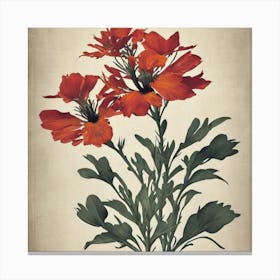 Red Poppy Flax3 Floral Botanical Vintage Poster Flower Art Print Canvas Print