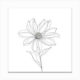 Cosmos Flower 8 Canvas Print