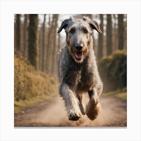 Irish Wolfhound Running In The Woods 2 Canvas Print