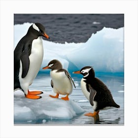 Antarctic Penguins 9 Canvas Print