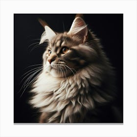 Portrait Of A Coon Cat 3 Canvas Print