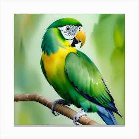 Parrot Painting Canvas Print