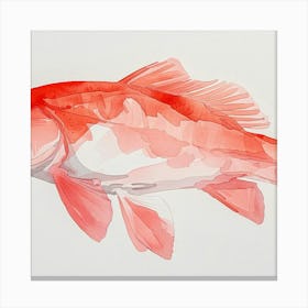 Red Koi Fish Canvas Print