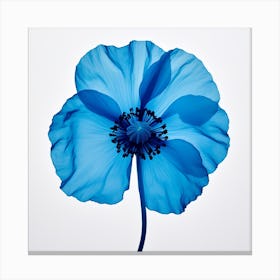 Blue Poppy 1 Canvas Print