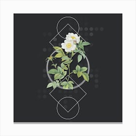 Vintage White Anjou Roses Botanical with Geometric Line Motif and Dot Pattern n.0192 Canvas Print