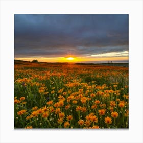 Sunset In California Canvas Print