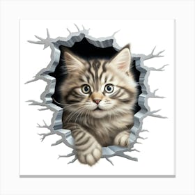 Kitten Peeking Out Of A Hole Canvas Print