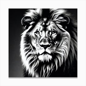 Lion Portrait 38 Canvas Print