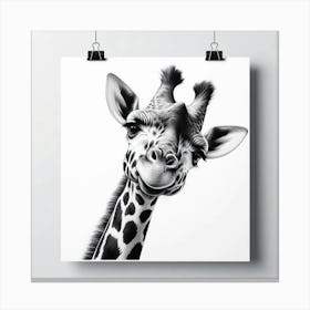 Giraffe 2 Canvas Print