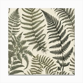 Fern Leaves 2 Canvas Print