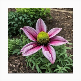 Purple Cosmos Canvas Print