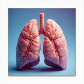 The Lungs of Life: A 3D-rendered Anatomical Masterpiece Canvas Print