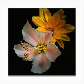 Hibiscus 6 Canvas Print