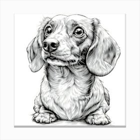 Dachshund 3 Toile