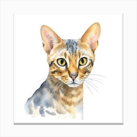 Ocicat Cat Portrait 1 Canvas Print