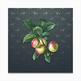 Vintage Apple Botanical on Slate Gray Pattern n.0264 Canvas Print