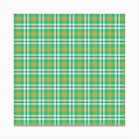 Plaid Fabric 46 Canvas Print