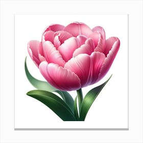 Pink Tulip Canvas Print