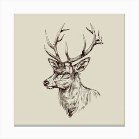 Deer Head Canvas Print