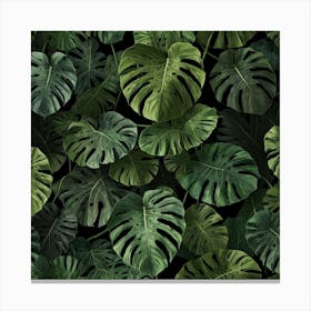 Monstera Leaves On A Black Background Canvas Print