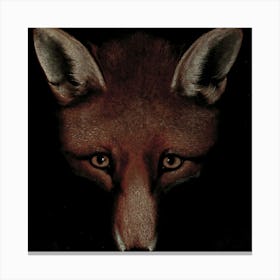 Fox DARCK Canvas Print