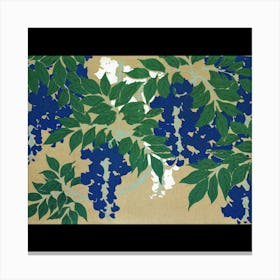 Wisteria Canvas Print