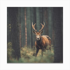 Deer In The Forest 6 Canvas Print